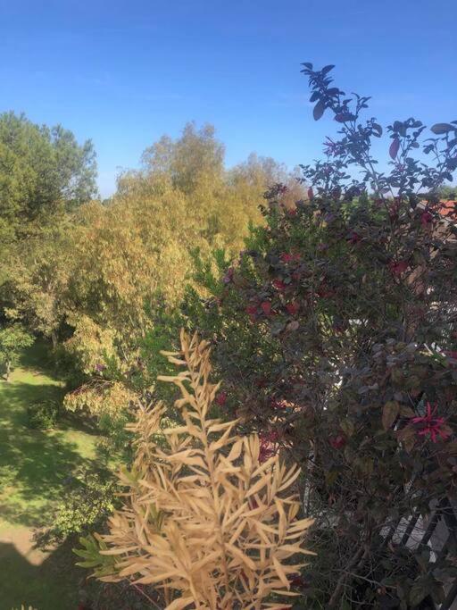 Casa Incantevole Con Vista Parco Appia Antica Villa Rom Eksteriør billede